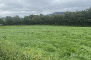 Currinree, Corries, Bagenalstown, Co. Carlow — photo 3