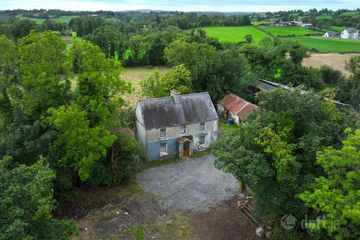 Dingins, Lough Gowna, Co. Cavan — photo 3