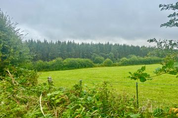Gortagarraun, Dunmore, Co. Galway — photo 3