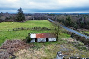 Bogaderries , Birr, Co. Offaly, R42VX88 — photo 3
