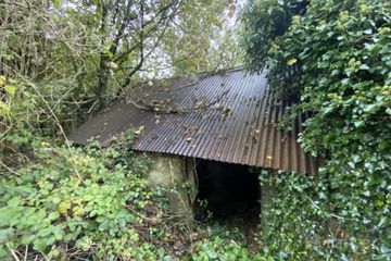 Ballysallagh (Derelict Res. & C. 3 Acres), Hacketstown, Co. Carlow — photo 3