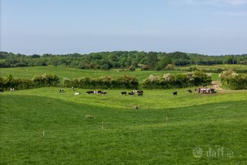 Cappanrush, Kilbeggan, Co. Westmeath — photo 3