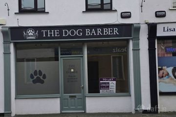Convent Lane, Athy, Co. Kildare
