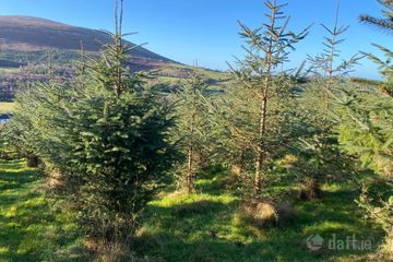 Knockroe, Borris, Co. Carlow — photo 2