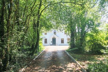 Thistle Doo, Annaduff Glebe, Annaduff, Carrick-On-Shannon, Co. Leitrim, N41 N500 — photo 2
