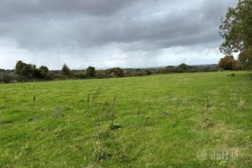 35.3 Acres (, 14.28 Ha) To Let, Gurteenakilla, Newtown, Co. Tipperary — photo 3
