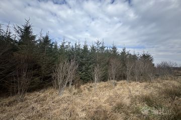 Ref 1169 - Forestry Lands, Garrane, Portmagee, Co. Kerry — photo 2