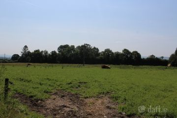 .75 Acre Site, Kilcarrig,, Bagenalstown,, Co. Carlow — photo 2