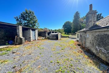 Tremane, Roscommon, Scardaun, Co. Roscommon, F42KX07 — photo 3