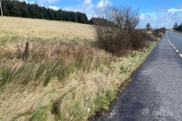 185 Acres of Afforested Land, Cashelnavean, Ballybofey, Ballybofey, Co. Donegal — photo 3