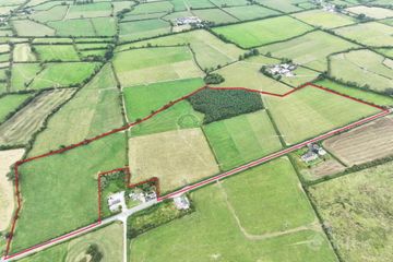 Cappanafaraha, Bruree, Co. Limerick