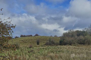 Derryfrench, Loughrea, Tynagh, Co. Galway — photo 3