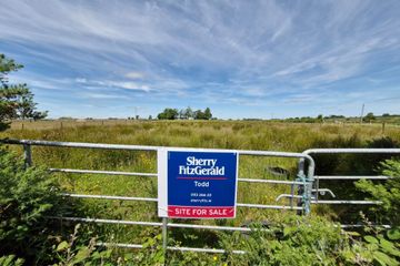 Brierfield Burke, Moylough, Ballinasloe, Co. Galway
