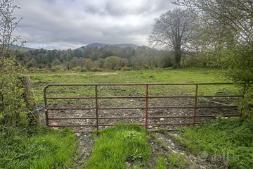 Land at Barraderry North, Kiltegan, Co. Wicklow — photo 2