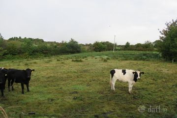 Ratharoon West, Bandon, Co. Cork — photo 3