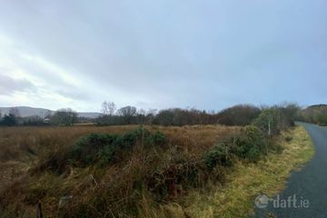 Roadside View