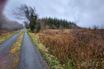 Fuel, Curry, Co. Sligo — photo 2