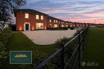 Pheasant Lane, Portlaoise, Co. Laois — photo 3