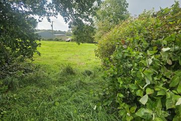 Islandbrack, Boherbue, Co. Cork — photo 2