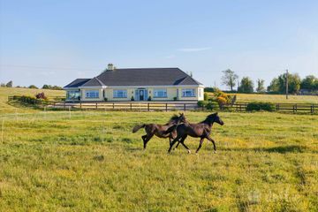 Doogary, Aghamore, Ballyhaunis, Co. Mayo, F35Y667