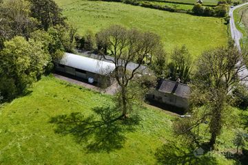 36.35 Acres (approx.) Residential Farm at Castleplunkett, Castlerea, Co. Roscommon — photo 3
