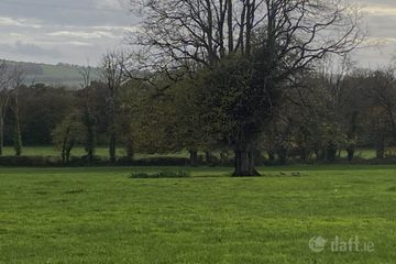 Ballynarooga, Ballingarry, Limerick, Co. Limerick — photo 2