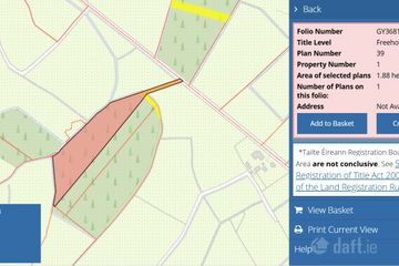 Mature Forestry land at Killavoher, Dunmore, Co. Galway — photo 3