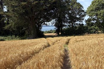 Ballybrassil, Cobh, Co. Cork — photo 3