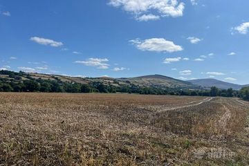 Ballaghmore, Ballon, Co. Carlow — photo 3