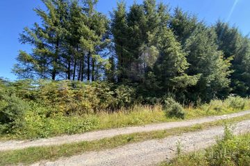 Site At Rossmore, Knockperry, Newcastle, Co. Tipperary — photo 2