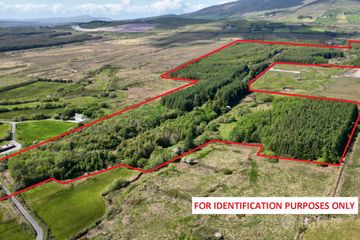 c. 81 Acres Forestry, Maulnahone, Cahersiveen, Co. Kerry — photo 2