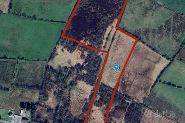 Rushpark, Farragher, Ballymacurley, Co. Roscommon
