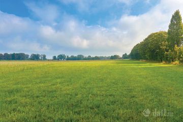 c. 16 Acres, Moorhill, Brannockstown, Naas, Co. Kildare