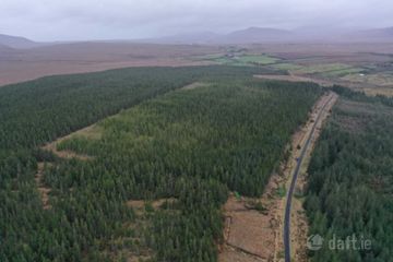 C. 53.3 Acres Of Forestry, Castlehill, Ballycroy, Co. Mayo