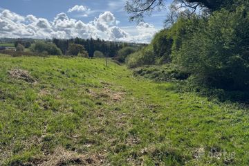 Land c. 29 Acres, Milltown, Dunlavin, Co. Wicklow — photo 3