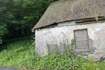 Tree Rock, Knockshangan, Athboy, Co. Meath, C15N2Y4 — photo 2