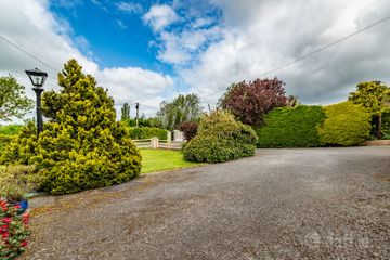 Hillview, Maddenstown, The Curragh, Co. Kildare, R56NA49 — photo 3