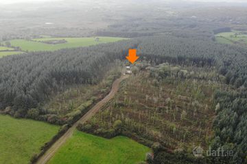 Haremount, Kilmichael, Kilmichael, Co. Cork, P12H599 — photo 3
