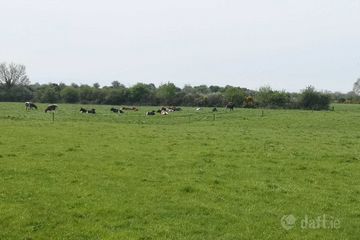 C19 Acres Glanworth, Glanworth, Co. Cork — photo 2