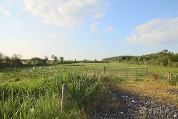 Tartan, Ballinameen, Co. Roscommon