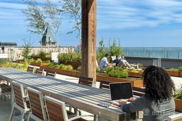 Roof Garden