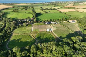 Fairy Trees Winery, Willistown, Drumcar, Co. Louth, A92X22E