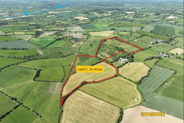 Land C. 55 Acres / 22.2 Hectares Milltown, Dunlavin, Co. Wicklow