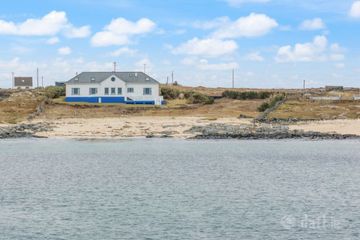 Blue Salmon, Ballyconneely, Clifden, Co. Galway, H71XK11 — photo 3