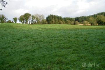 Tully, Loughglynn, Castlerea, Co. Roscommon, F45P718 — photo 2