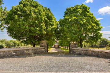 Mylerstown Park Stud, Mylerstown, Carbury, Co Kildare, W91EF64 — photo 3