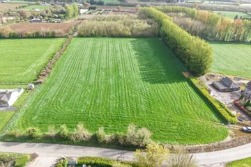 FIDDOWN NURSERIES, CORLOUGHAN , Piltown, Co. Kilkenny — photo 2