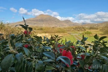 Tra Beag Cottage, Culfin, Renvyle, Galway, Co. Galway, H91TC5E — photo 3