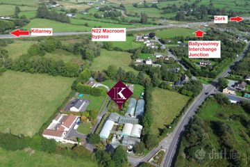 Ballyvourney Nursery  Garden Centre, Ballymakeera, Co. Cork — photo 2