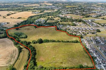 c. 8.7 hectares / 21.9 acres at Carley’s Bridge, Enniscorthy, Co. Wexford — photo 2